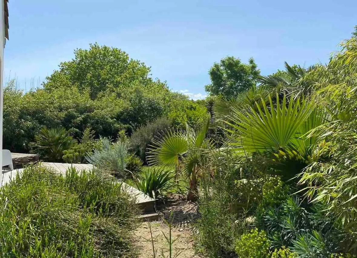 Au Coeur De Tregastel, Noyee Dans La Vegetation Villa