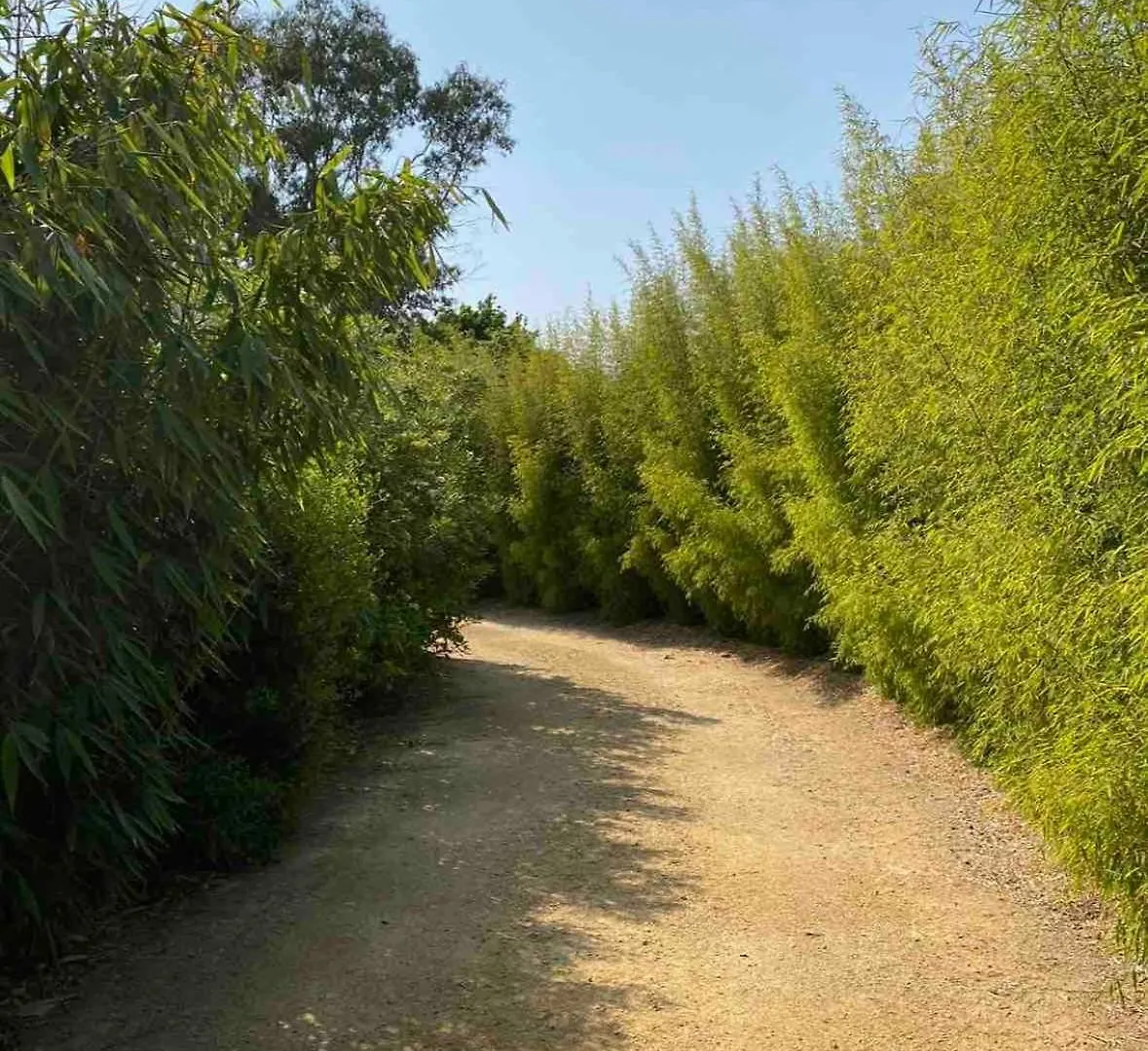 Au Coeur De Tregastel, Noyee Dans La Vegetation Villa Frankrike
