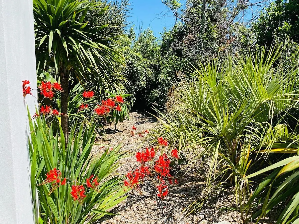 Au Coeur De Tregastel, Noyee Dans La Vegetation Villa Frankrike